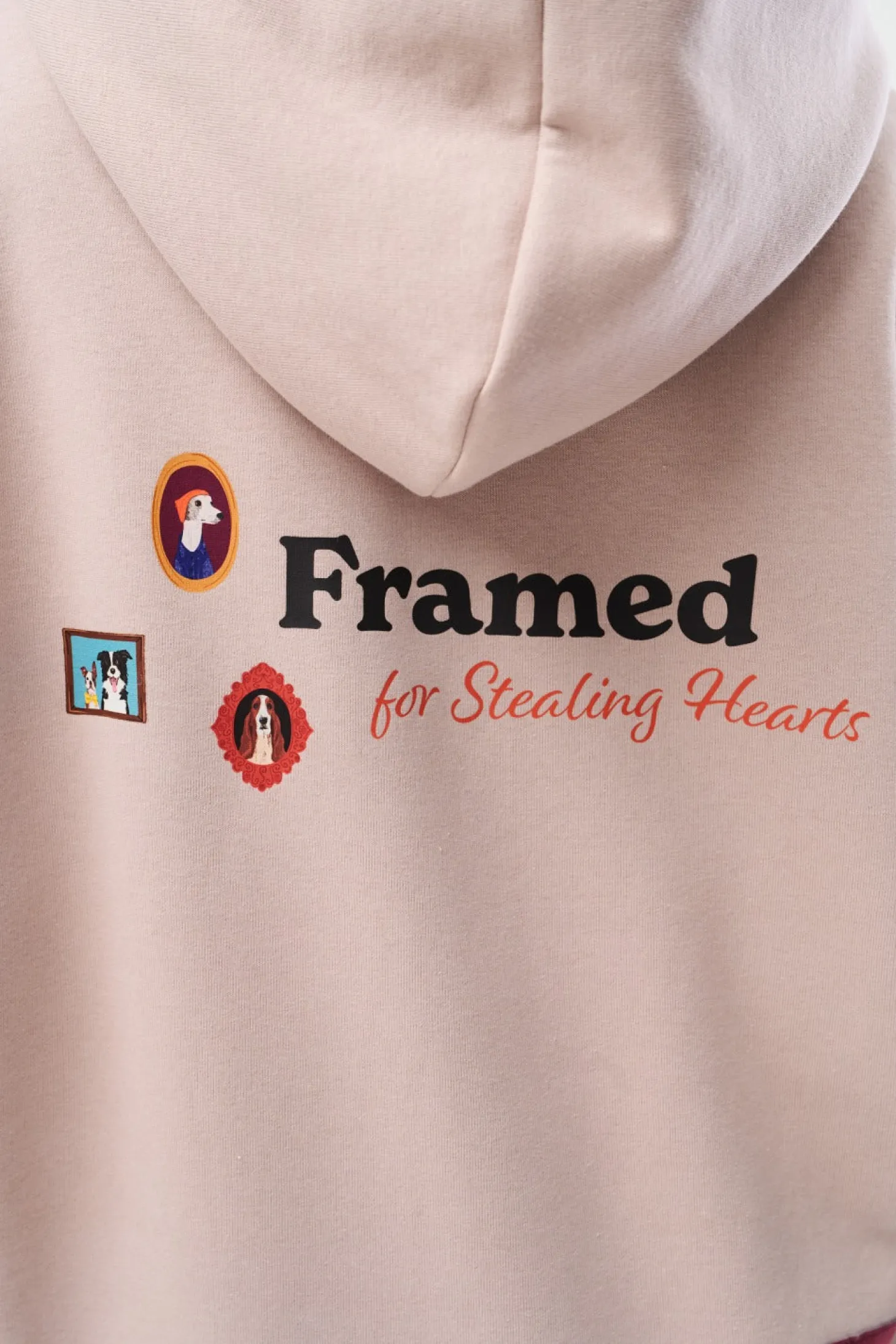 Bluza rozpinana Framed